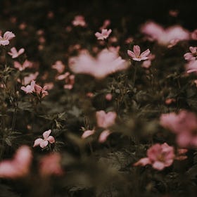 Eco-anxiety or cultural apocalypse