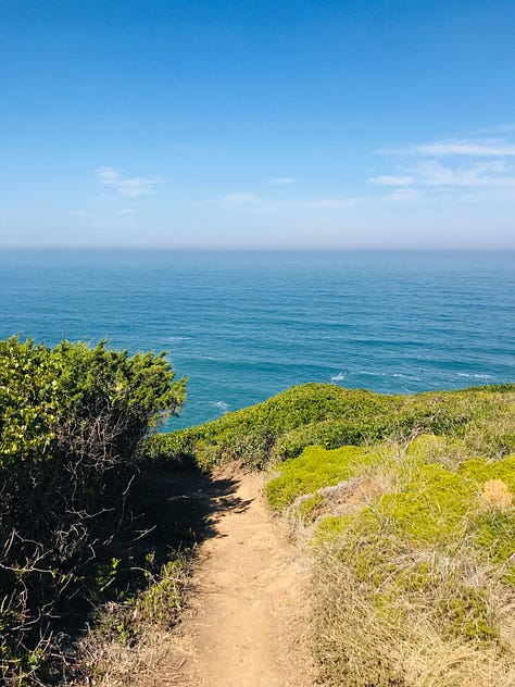 Dinosaur footprints in Portugal