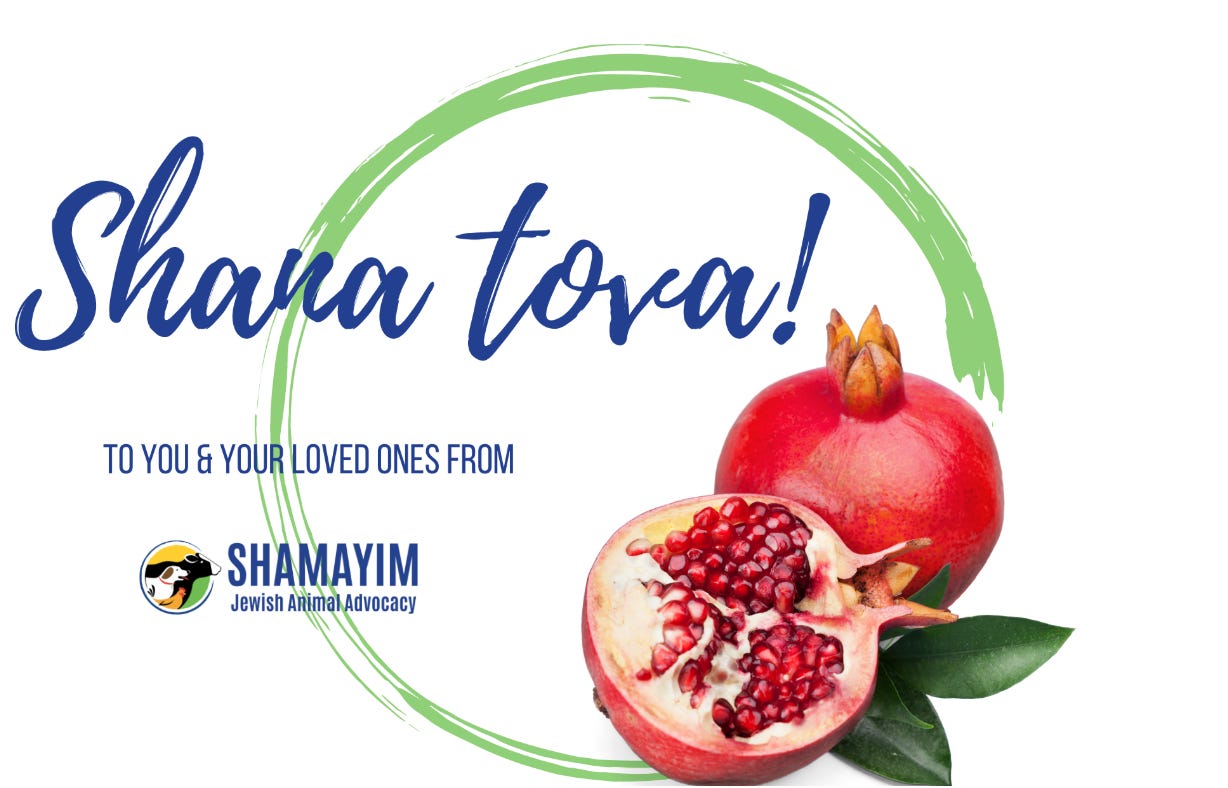 Shana Tova to you and your loved ones from Shamayim Jewish Animal Advocacy