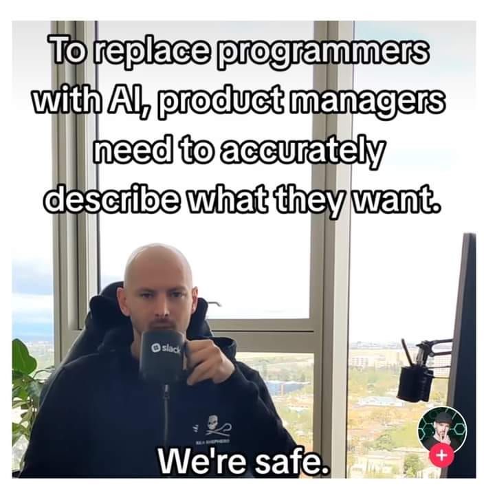 we're safe fellas : r/ProgrammerHumor