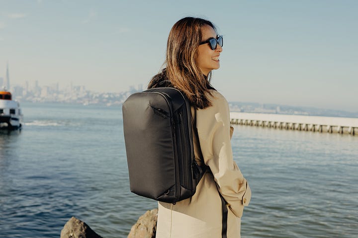 Peak Design Travel Backpack 20L