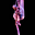 Jayne Bernasconi's avatar