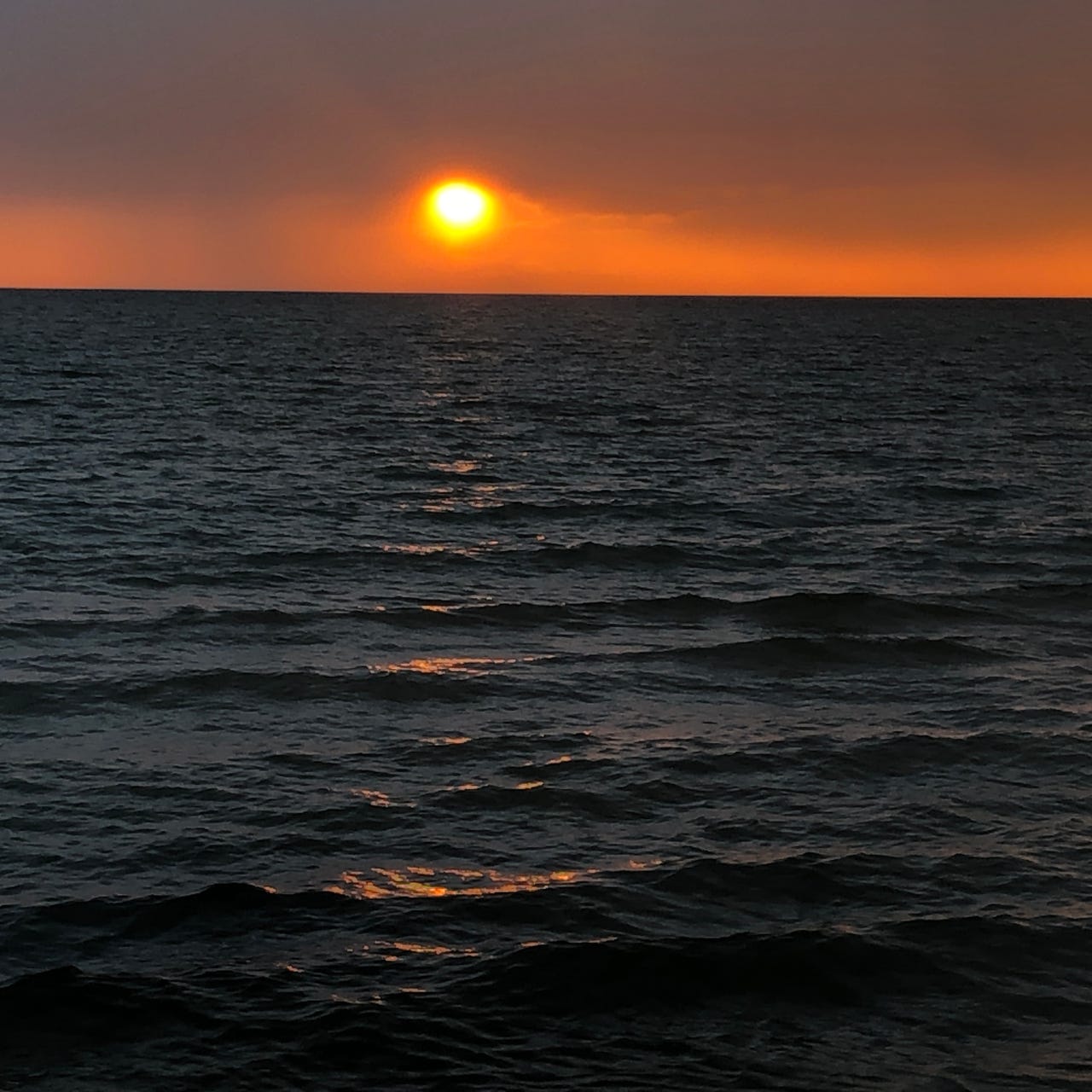 Lake Michigan Bookshelf