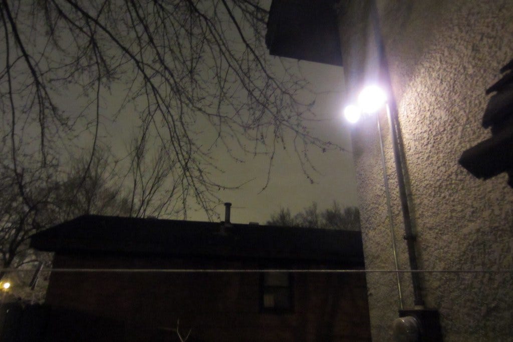 (11:366) Our weird alien looking backyard lights (11:366) Our weird alien looking backyard lights