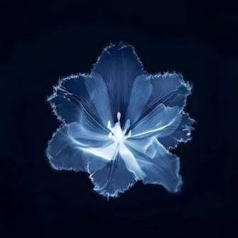 A.P Indira