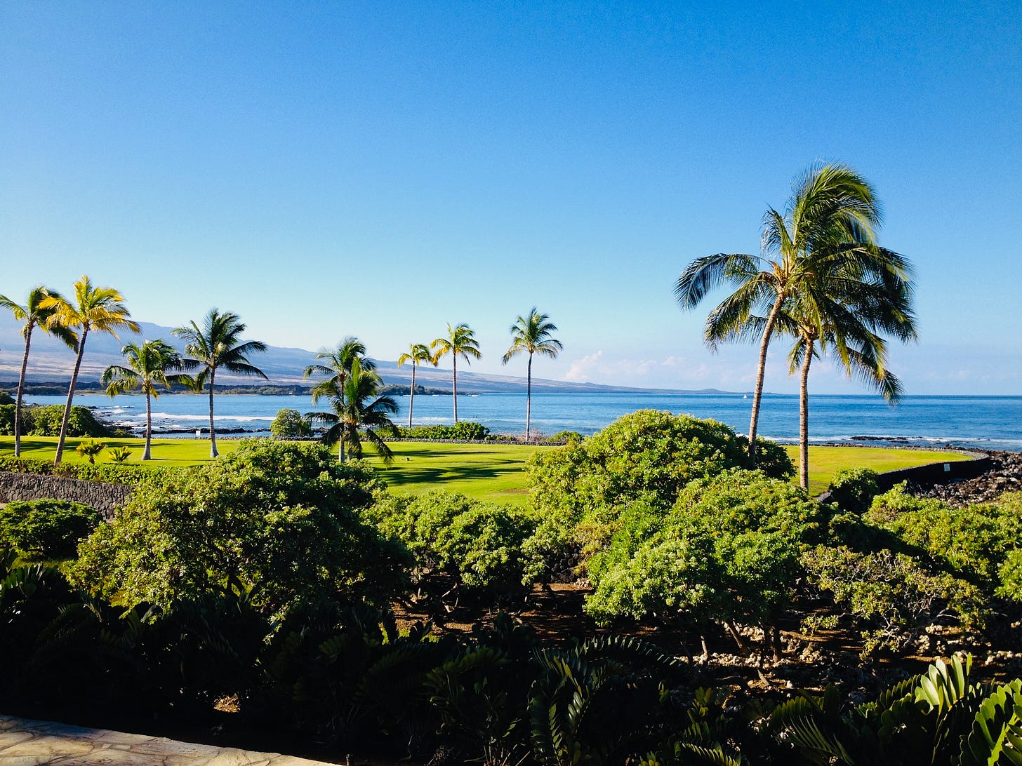 Hawaii palm trees, green grass, blue skies and an ocean of blue and white splashing waves. Hawaii palm trees, green grass, blue skies and an ocean of blue and white splashing waves.
