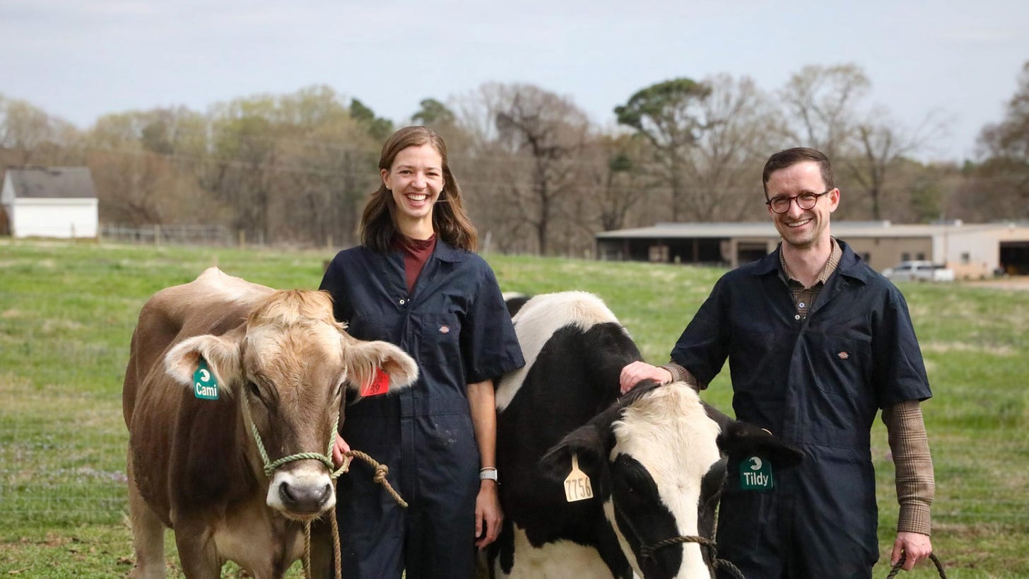 US biotech raises $15m to reduce cattle methane emissions with Irish state  among the backers | Business Post