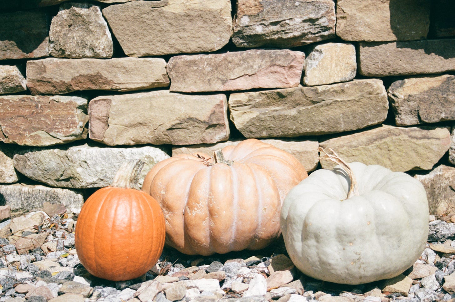 pumpkins, halloween, fall, decor, decoration, stone wall, dry stone wall, harvest, autumn, season, cozy pumpkins, halloween, fall, decor, decoration, stone wall, dry stone wall, harvest, autumn, season, cozy