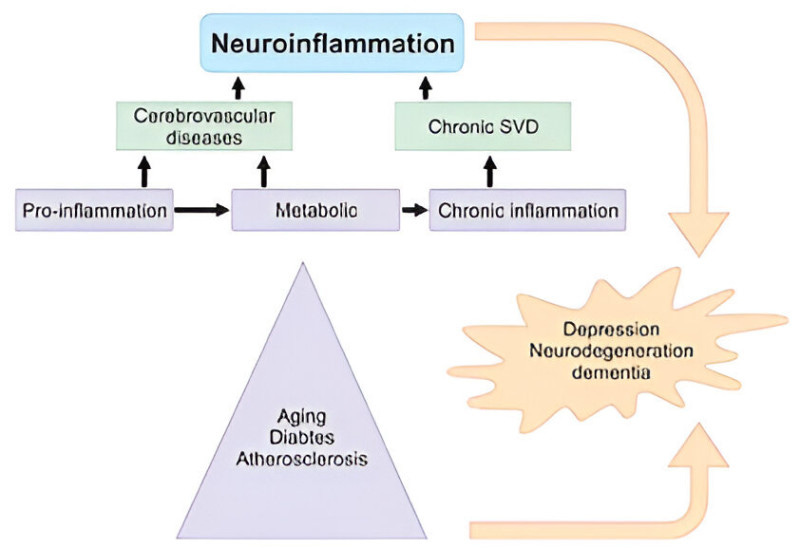 Neuroinflammation