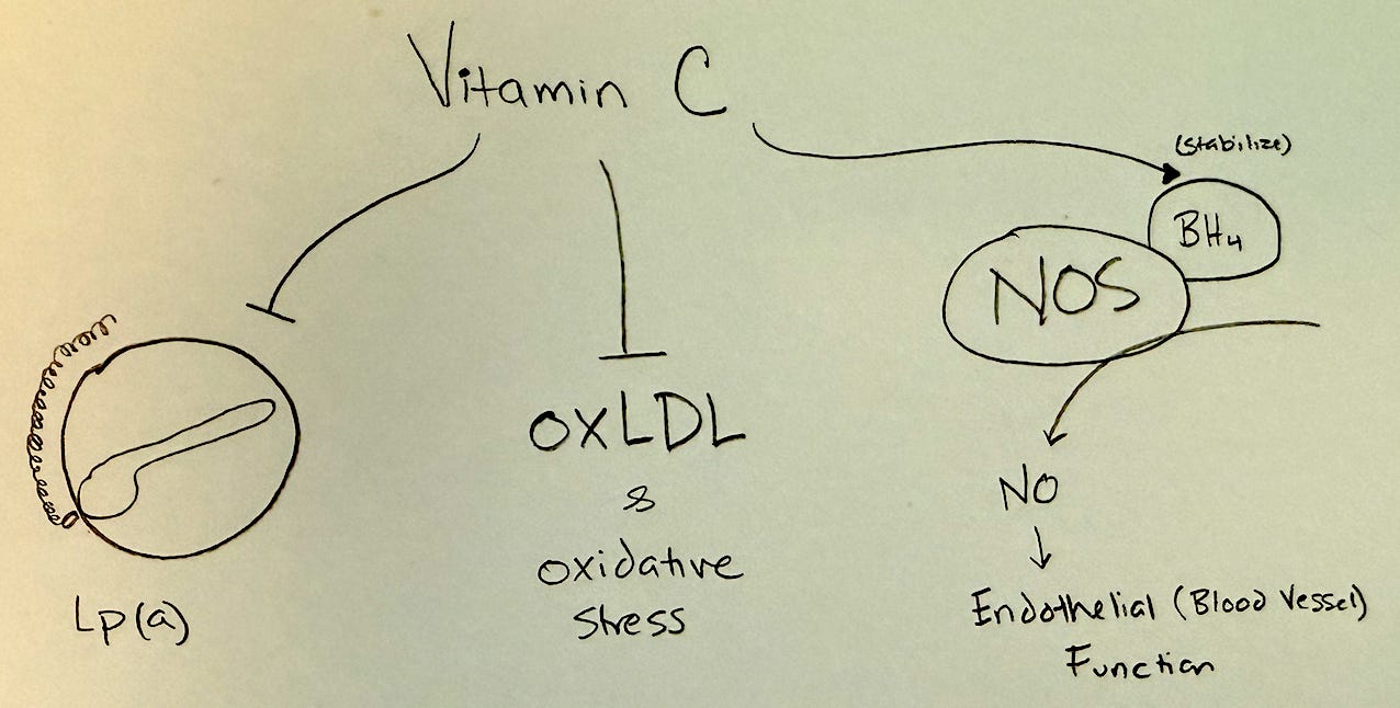 Why Vitamin C is the Most Underrated Nutrient for Heart Health