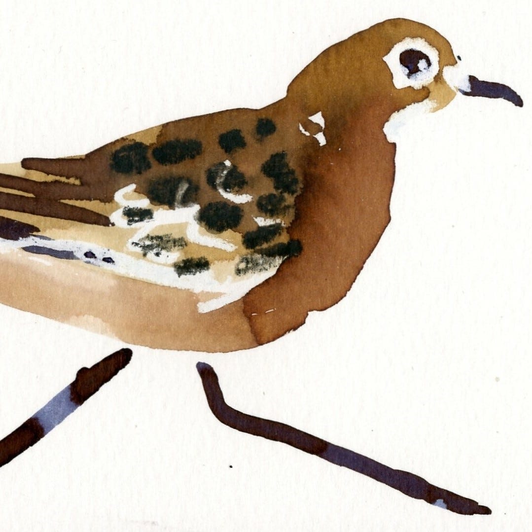 Drawing from the Inkwell