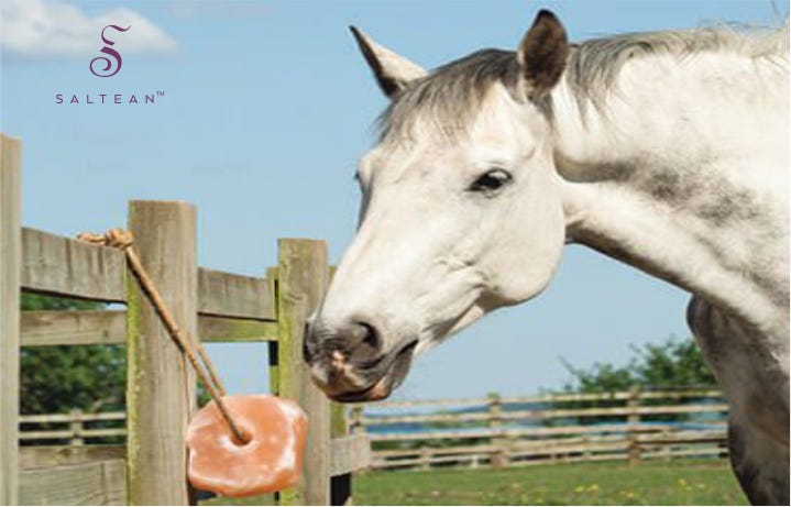 LICKING SALT Animal Salt Lick Block 7 To 9lbs Himalayan Pink Salt Lick