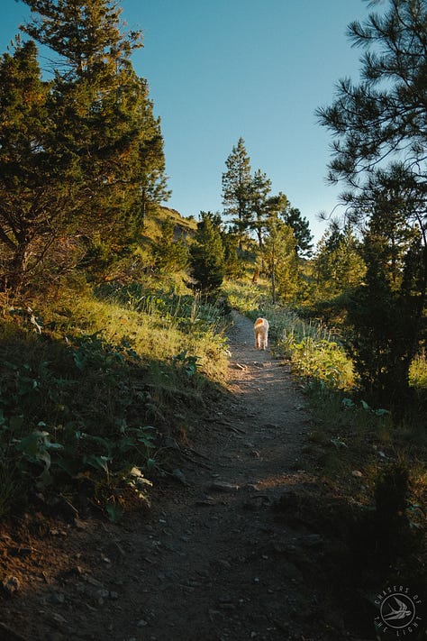 #fuji #fujix100f #fujifilm #filmy #tylerknott #tylerknottgregson #chasersofthelight