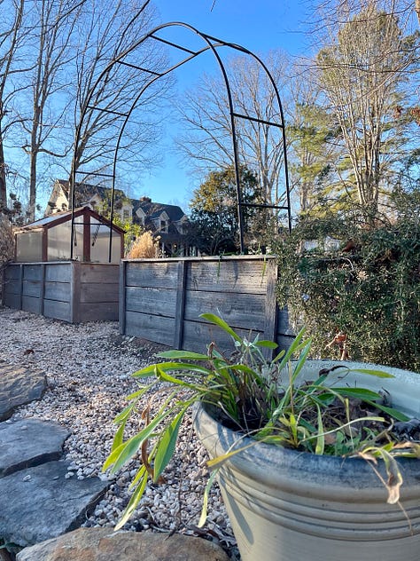 winter kitchen garden; cold frame
