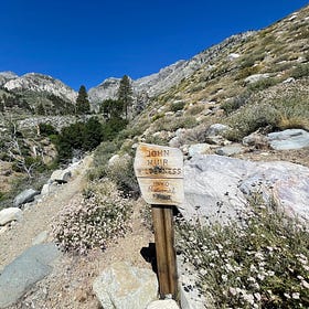 A Surprise in the Eastern Sierra