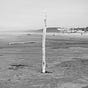 A Crow At The Beach Is Like A Seagull At A Funeral