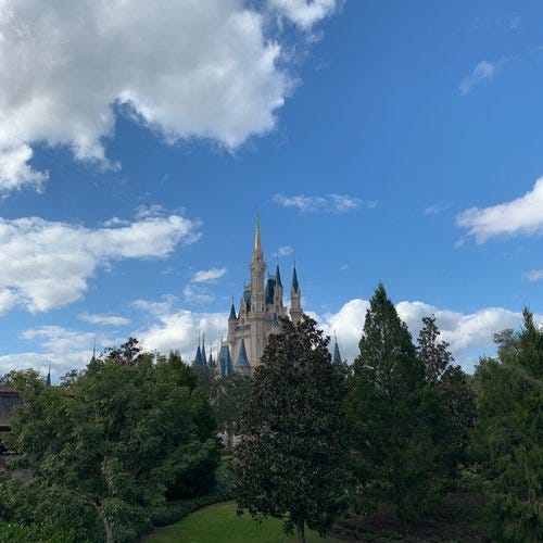Disney's Magic Kingdom Castle Disney's Magic Kingdom Castle