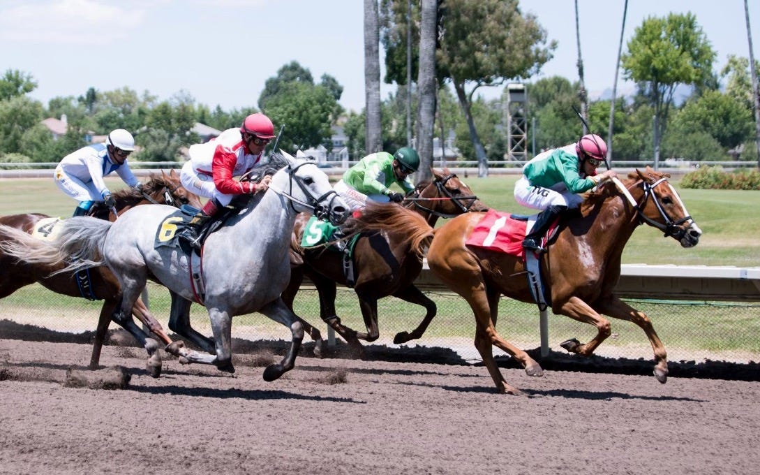 Supervisor cracks the whip to bring horse racing back; Fair Board won’t ...