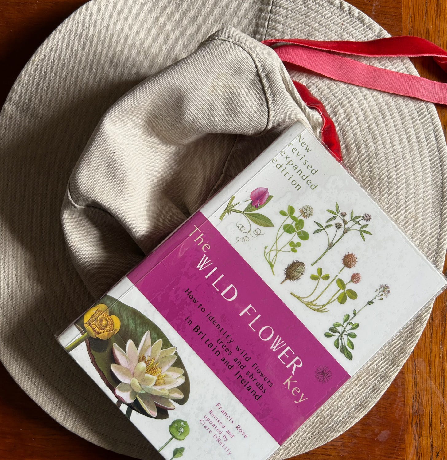 Front cover of the Wild Flower Key with plant illustrations