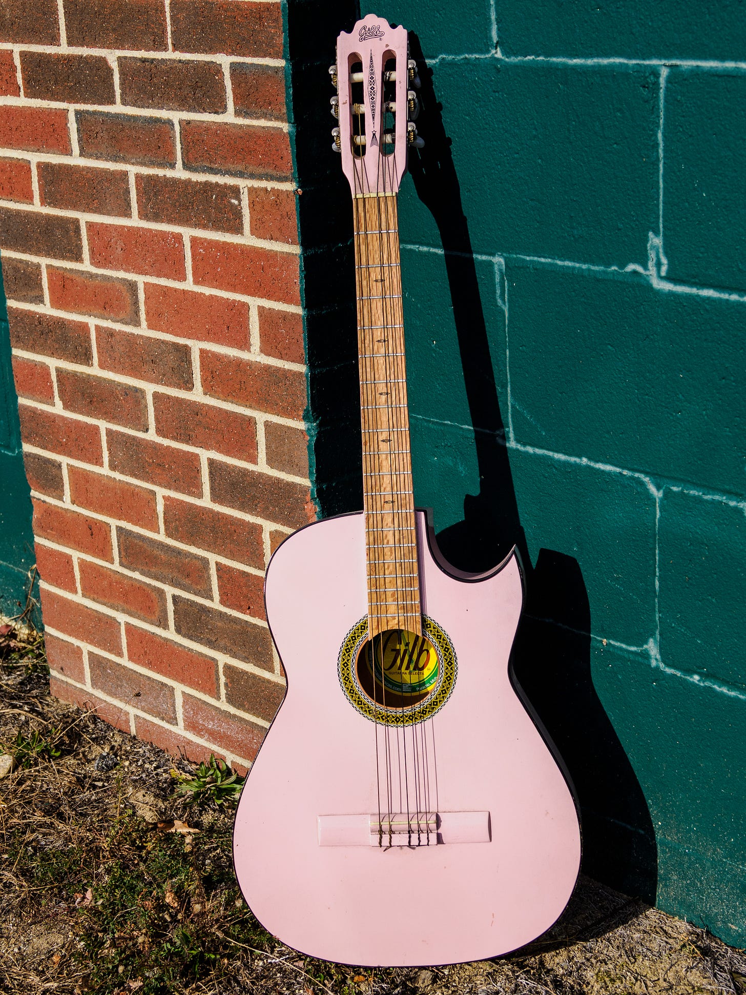 Pinkish guitar