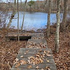 🥾 Martha’s Vineyard Hiking Guide: Favorite Trails by Town