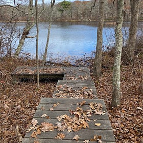 🥾 Martha’s Vineyard Hiking Guide: Favorite Trails by Town