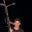 JegRdaga's avatar