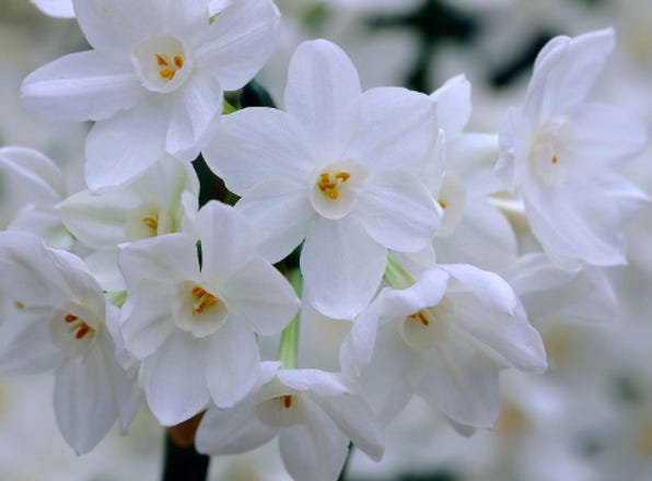 Screenshot 2022-11-20 at 17.17.00.png