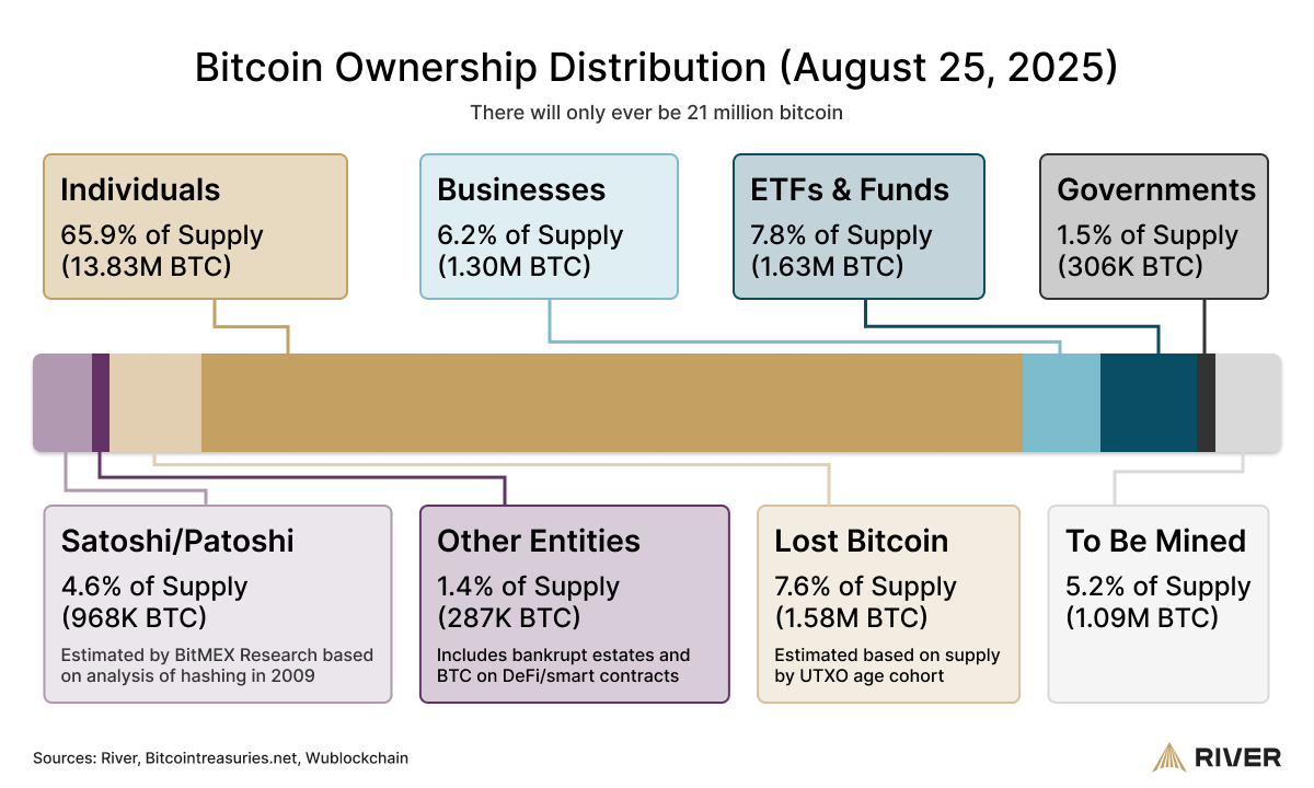Institutions are NOT the biggest Bitcoin holders.