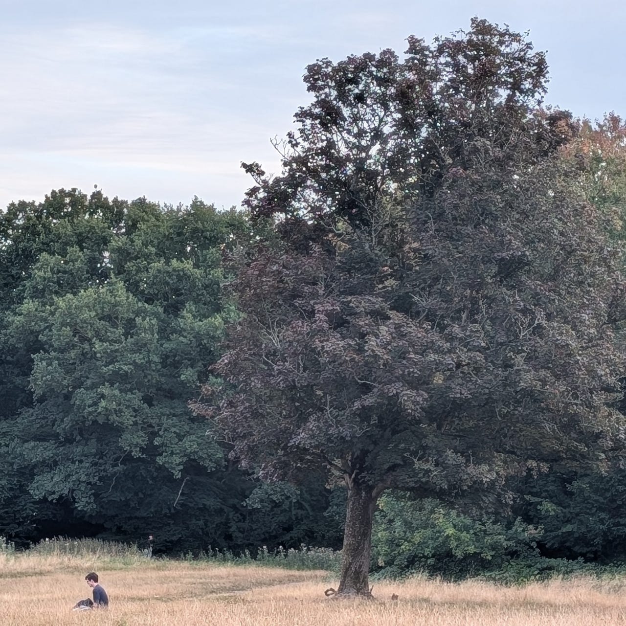 People Told Me I Was Imagining Things