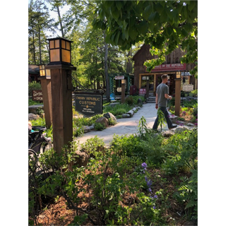 A person walking in a garden

AI-generated content may be incorrect.