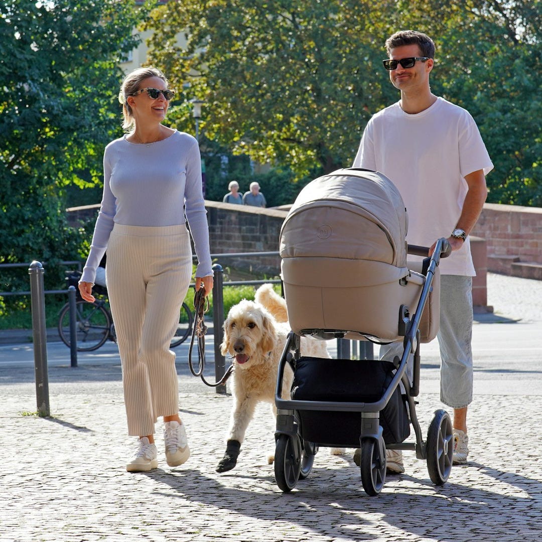 a man and woman walking with a dog in a stroller