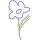 edward's wallflower 