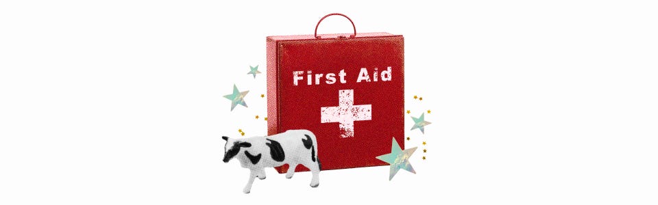 Guide to Chiron in Taurus blog — Collage of an antique first aid kit with a cow figurine and colorful stars.