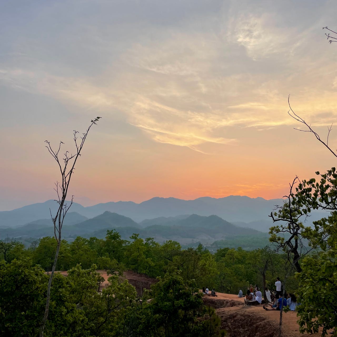 Collections ~ Emma Goodstein