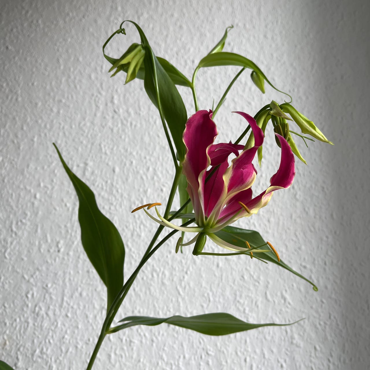 every puddle is an ocean