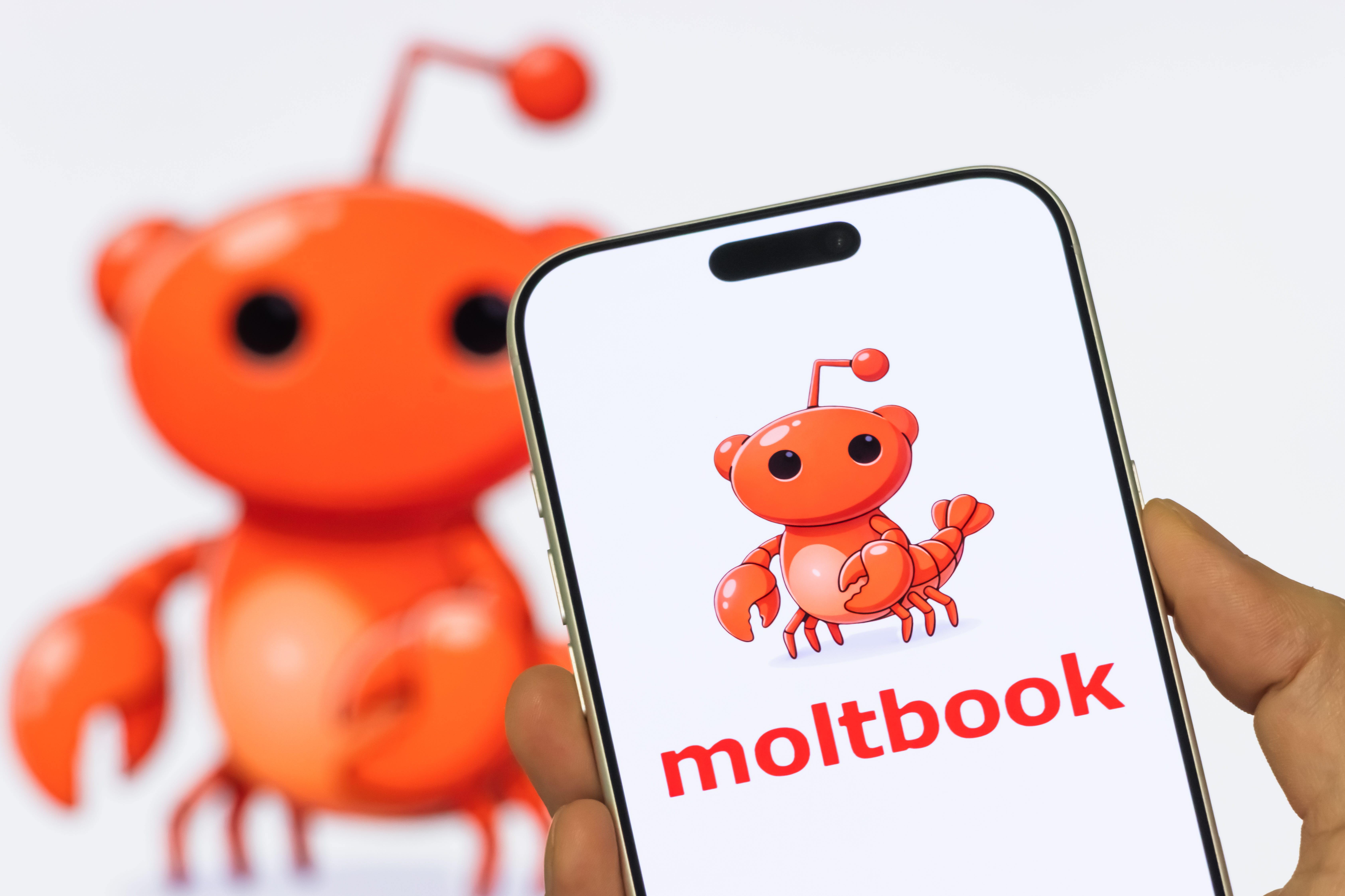Moltbook Rave Moltbook shows we won't pull the plug - by Kelsey Piper
