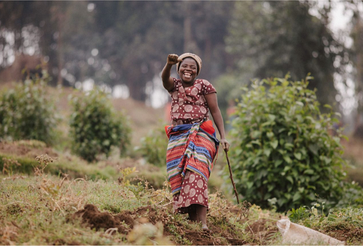 Women protecting Gorillas