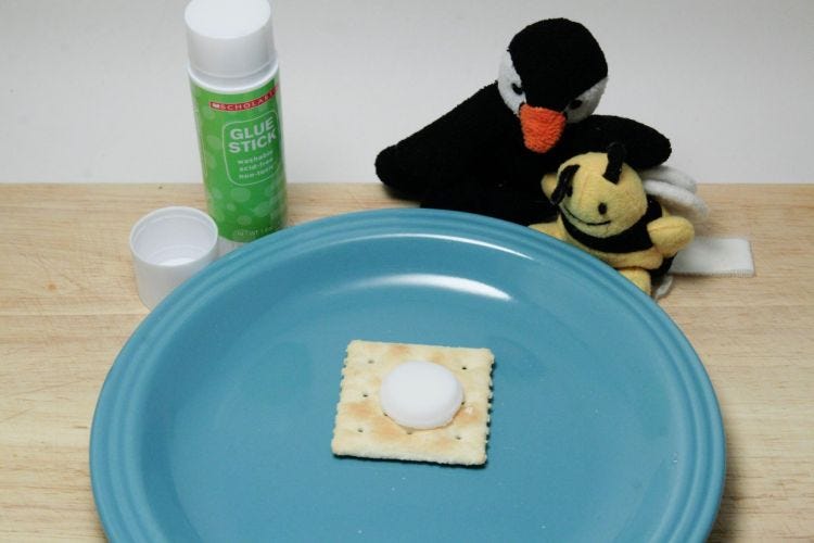 Glue Stick Taste Test Scholastic Clear Glue Stick Taste Test Scholastic Clear