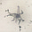 RebeccaccebeR's avatar