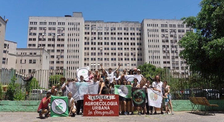 Soberanía alimentaria: La huerta urbana agroecológica Margarita II se está  construyendo en el patio de Nutrición de la Facultad de Medicina - Carbono  News
