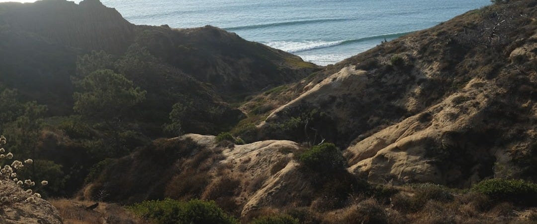 green tress mountain range near sea green tress mountain range near sea