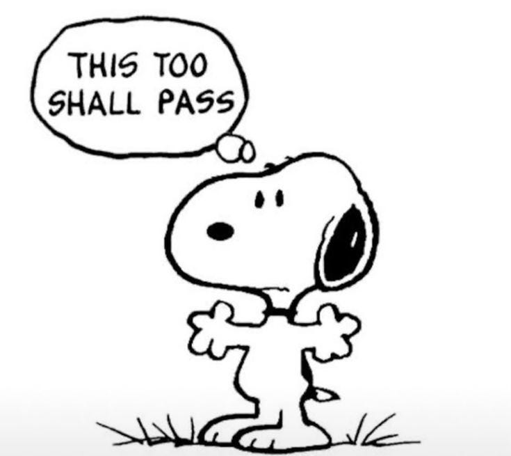 Imagen del Story Pin