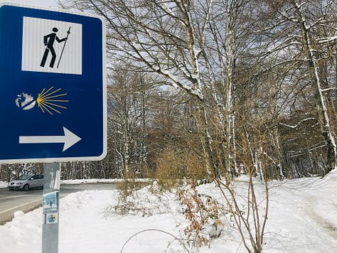 The many directional signs on the Camino de Santiago.