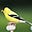 Hugh Stevens's avatar
