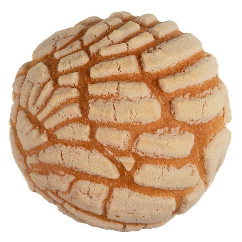 Concha Blanca Concha Blanca