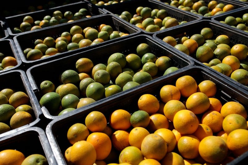 Crates of oranges on a truck before being processed and cleaned at a packing house in Itupeva, Sao Paulo state, Brazil, on Tuesday, Aug. 3, 2021. Orange quality has been hurt after a severe frost affected Sao Paulo groves, probably reducing industry yield efficiency.