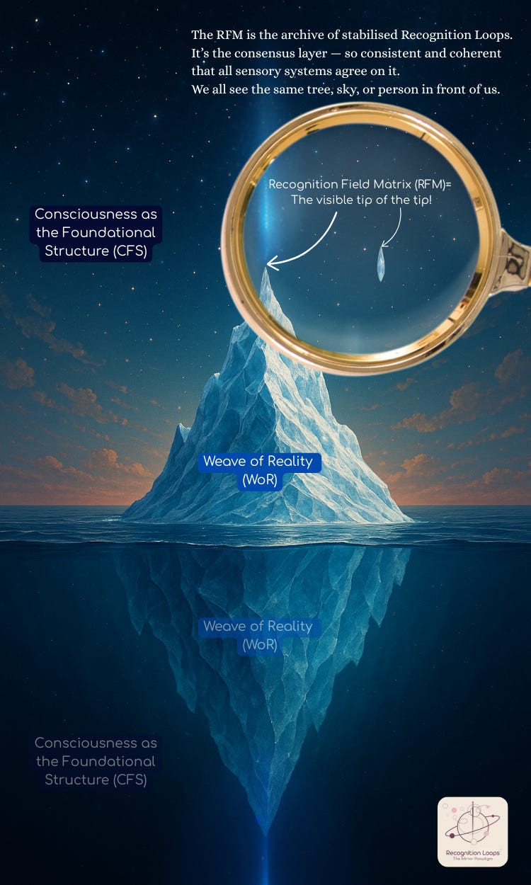 Magnified ice crystal on an iceberg tip symbolises perceptual reality—RFM—above a vast Weave of Reality held within the CFS ocean.
