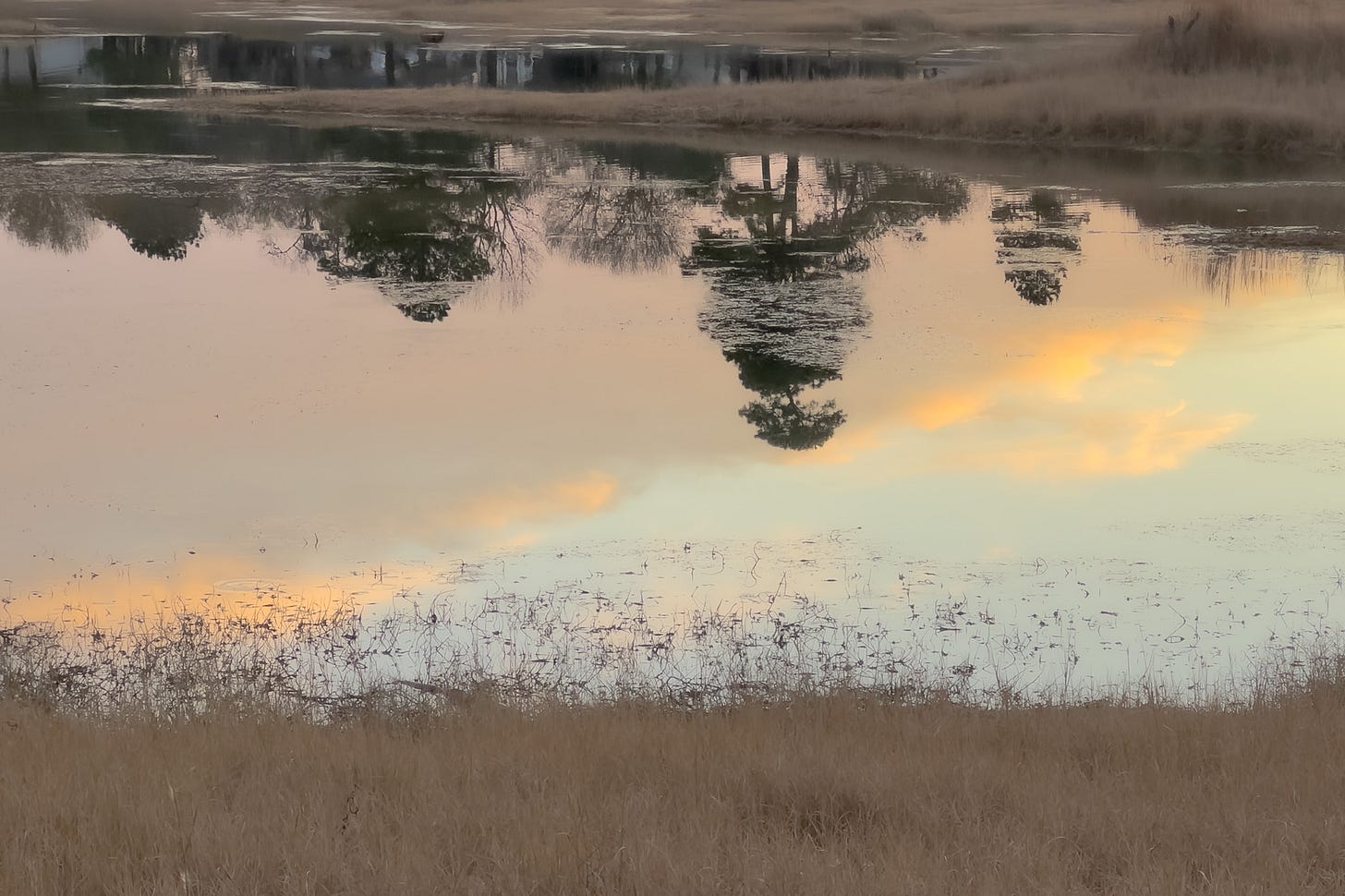 a reflection in the lake water of blue sky, clouds, a trees on the shoreline with brown grasses in the bottom forefront