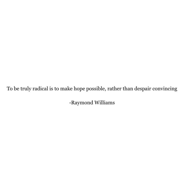 Black text on a white background that says: To be truly radical is to make hope possible, rather than despair convincing. Raymond Williams.